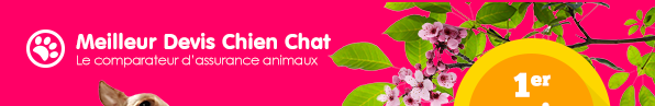  Meilleur Devis Chien Chat 