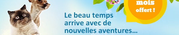 Le beau temps arrive avec de nouvelles aventures... 